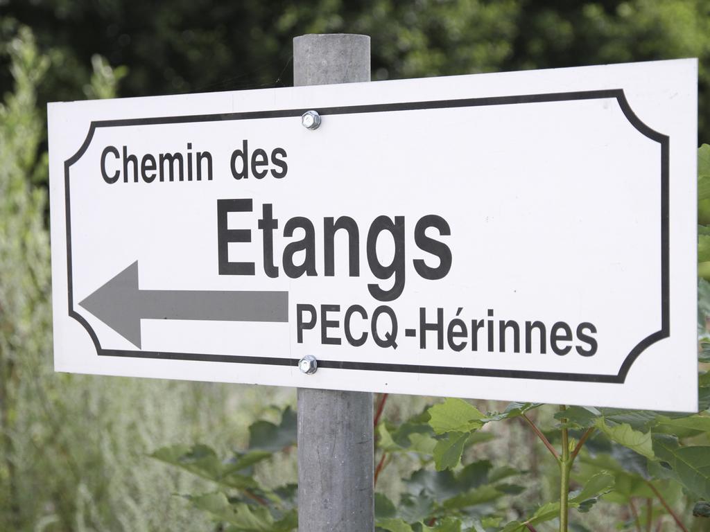 Terre D'O Villa Pecq Eksteriør bilde